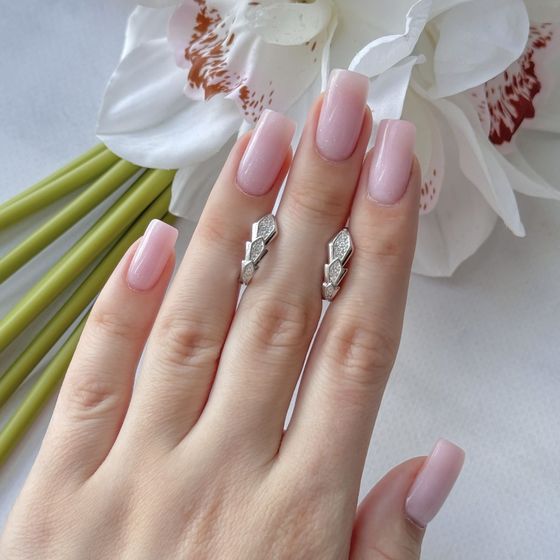 Silver Earrings with Fianites