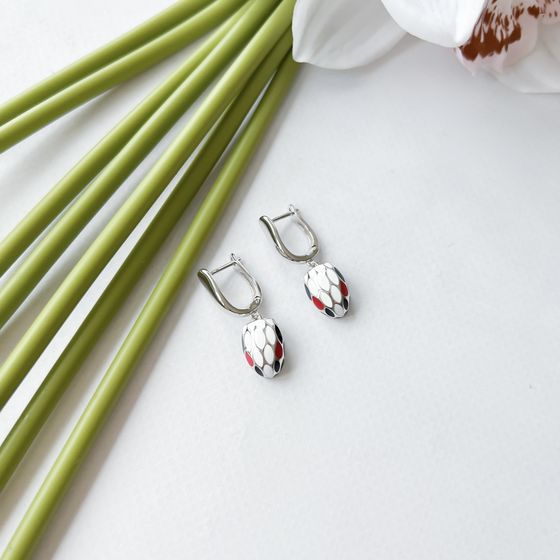 Silver earrings with yemallu