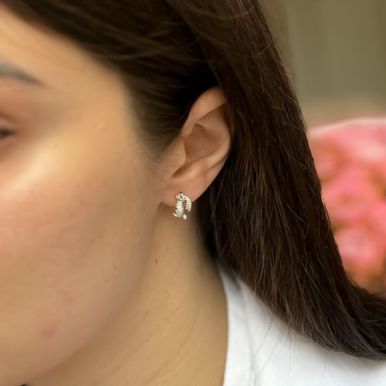 Silver Earrings with Fianites