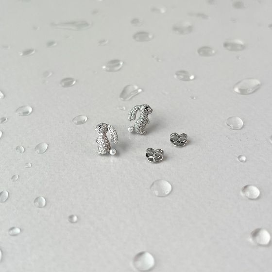 Silver Earrings with Fianites