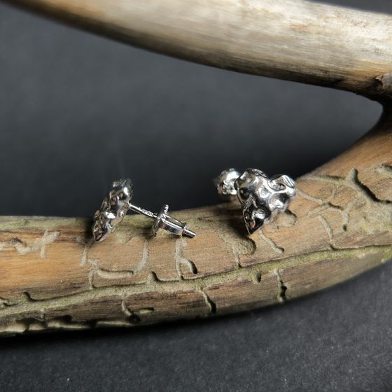 Silver earrings without stones