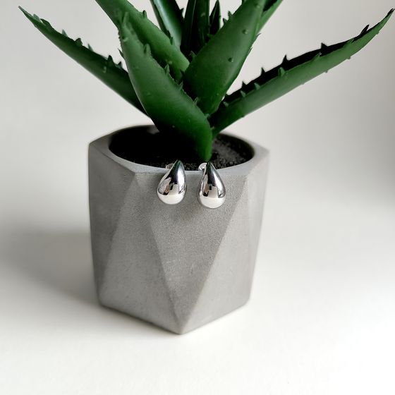 Silver earrings without stones