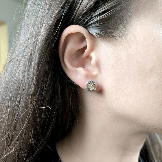 Silver Earrings with Fianites