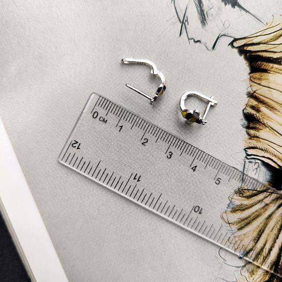 Серебряные серьги с емаллю