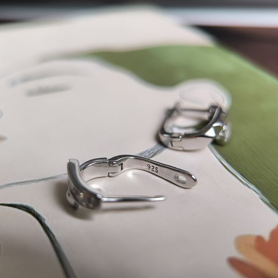 Silver Earrings with Fianites