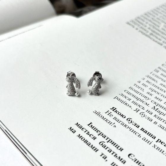 Silver Earrings with Fianites