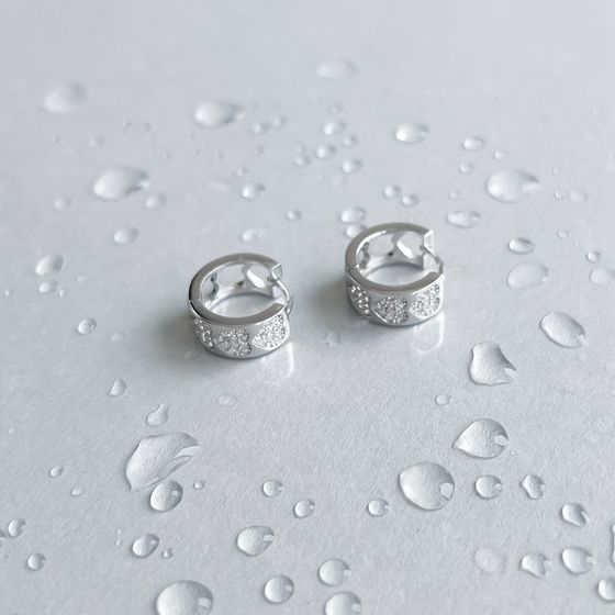 Silver Earrings with Fianites