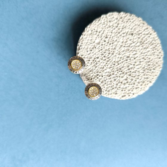 Silver Earrings with Fianites