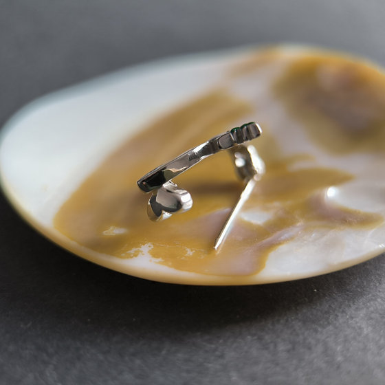 Серебряная брошка с емаллю