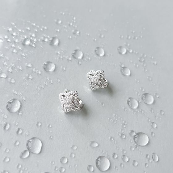 Silver Earrings with Fianites