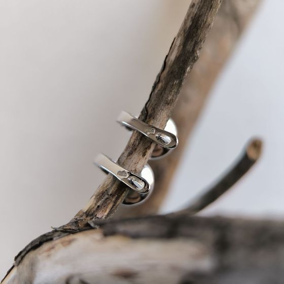 Silver Earrings with Fianites