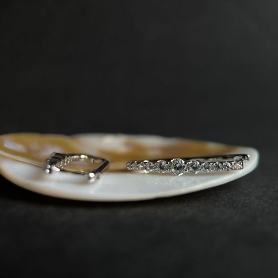 Silver Earrings with Fianites