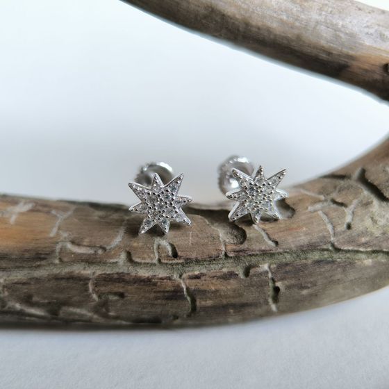 Silver Earrings with Fianites