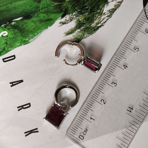Срібні сережки з гранатом 4.1ct