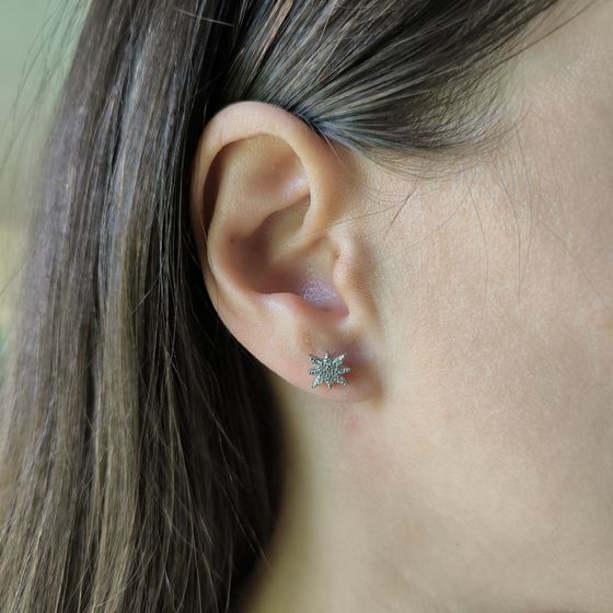 Silver Earrings with Fianites