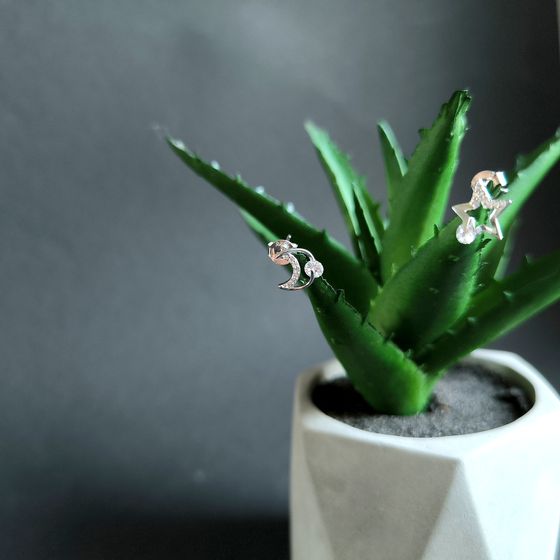 Silver Earrings with Fianites