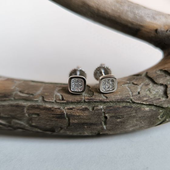 Silver Earrings with Fianites