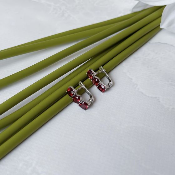 Серебряные серьги с гранатом 3.929ct