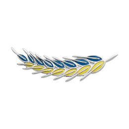 Срібна брошка з емаллю
